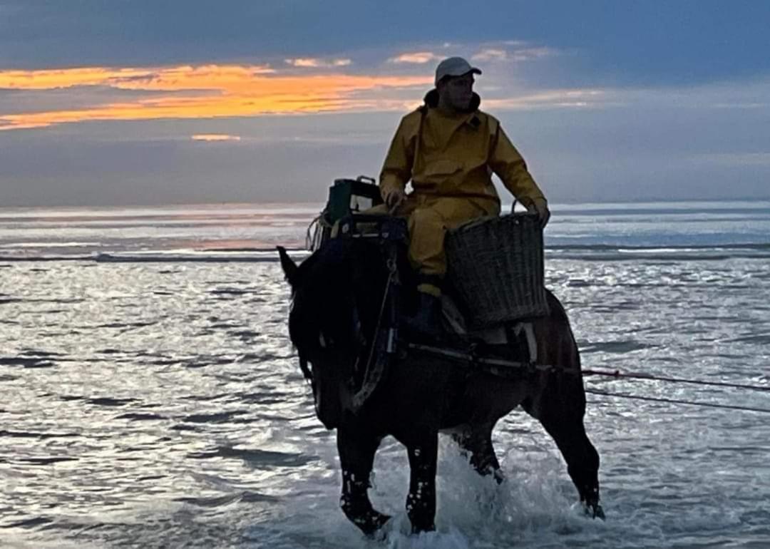 Dunenestje Oostduinkerke Esterno foto